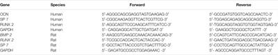 Anti-Osteogenic Effect of Danshensu in Ankylosing Spondylitis: An in Vitro Study Based on Integrated Network Pharmacology